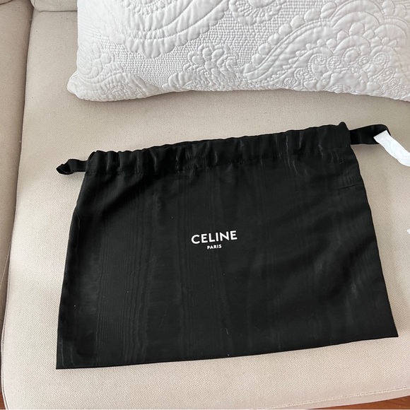 Celine Nano Belt Bag in Grained Calfskin Pastel Green 2021 Brand New - Picture 5 of 14